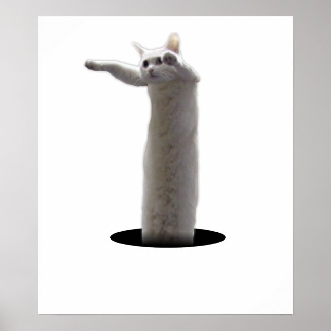 Póster LongCat interdimensional (Frente)