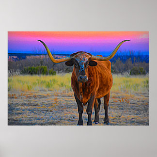 Póster Longhorn al atardecer