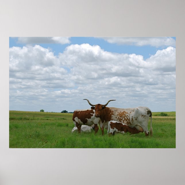 Póster Longhorn Cattle in Kansas (Frente)