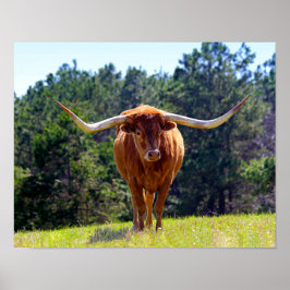 Póster Longhorn de Texas-Red-Haired