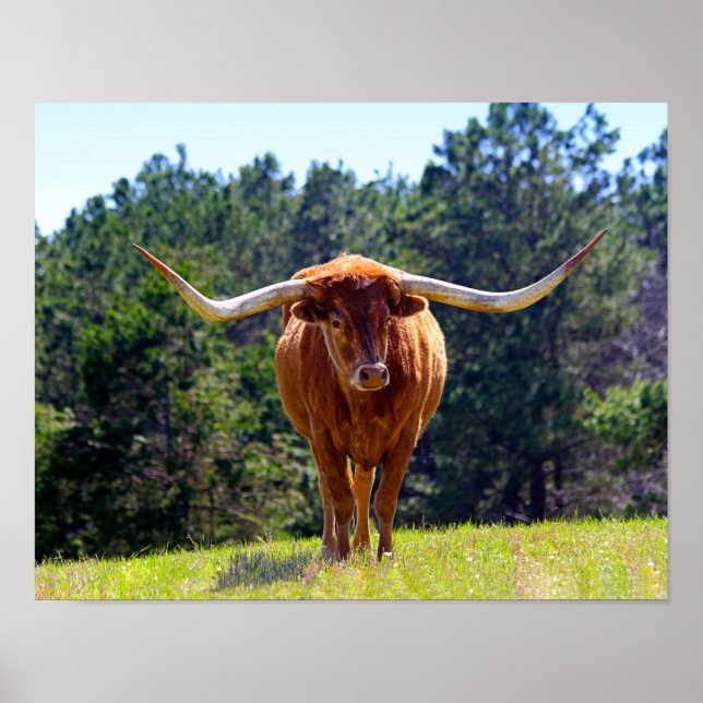 Póster Longhorn de Texas-Red-Haired (Frente)