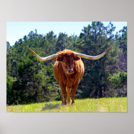Póster Longhorn de Texas-Red-Haired