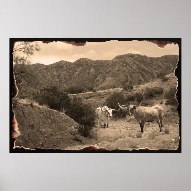 Póster Longhorn Ravine Sepia Poster -60x40 (Frente)