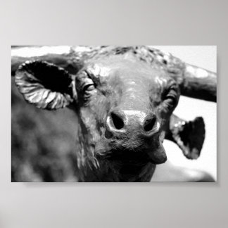 Póster Longhorn Up Close