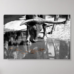 Póster Longhorn y Goldfish