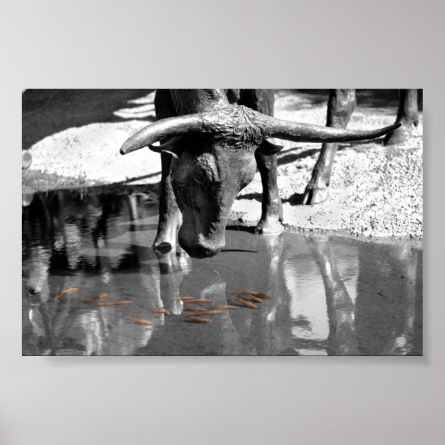 Póster Longhorn y Goldfish (Frente)