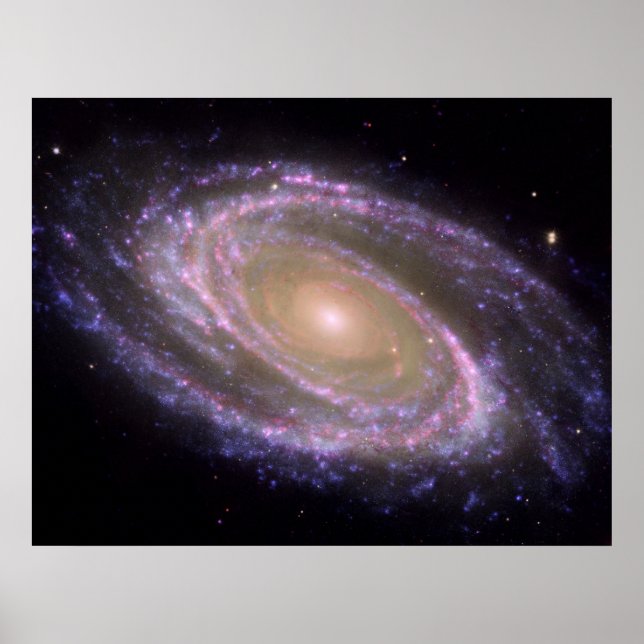 Póster Longitud de onda múltiple M81 (Frente)