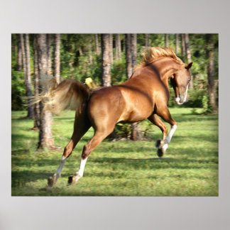 Póster Lookie Lou Divertido