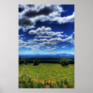 Póster Looking into the Distance