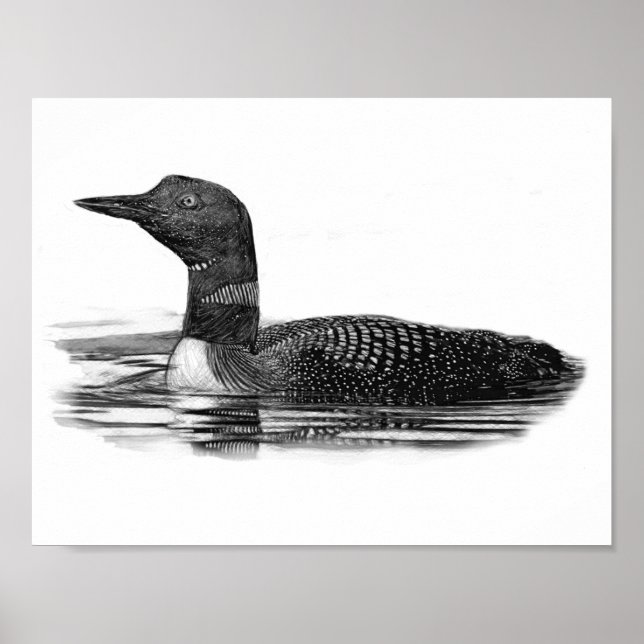 Póster Loon en el lago (Frente)