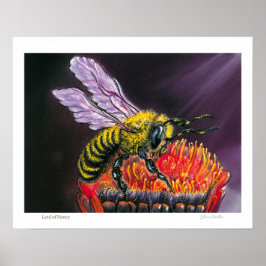 Póster Lord of Honey