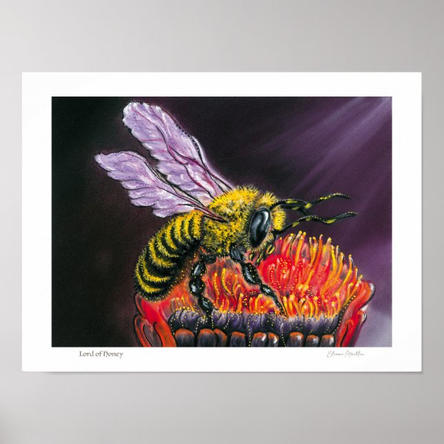 Póster Lord of Honey - Poster (Frente)