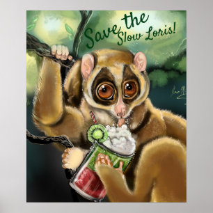 Póster Loris Smoothie lento