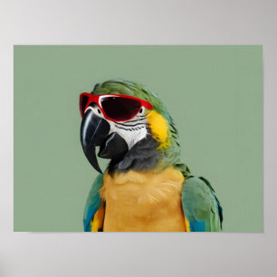 Póster Loro animal fiesta en gafas rojas