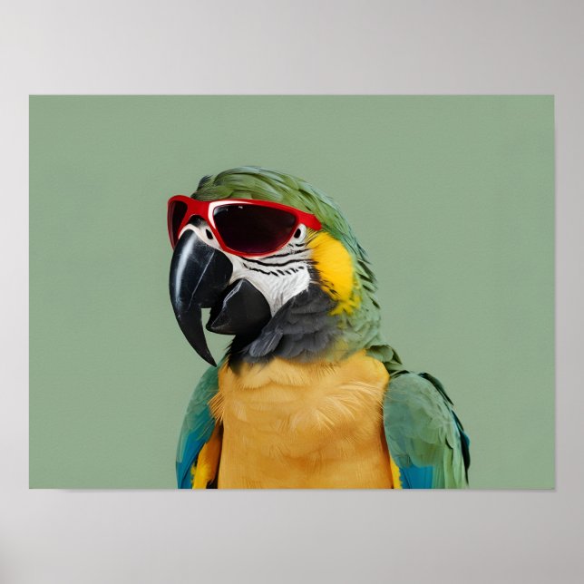 Póster Loro animal fiesta en gafas rojas (Frente)