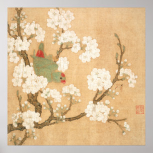 Póster Loro Chino Oriental y Flores de Peral