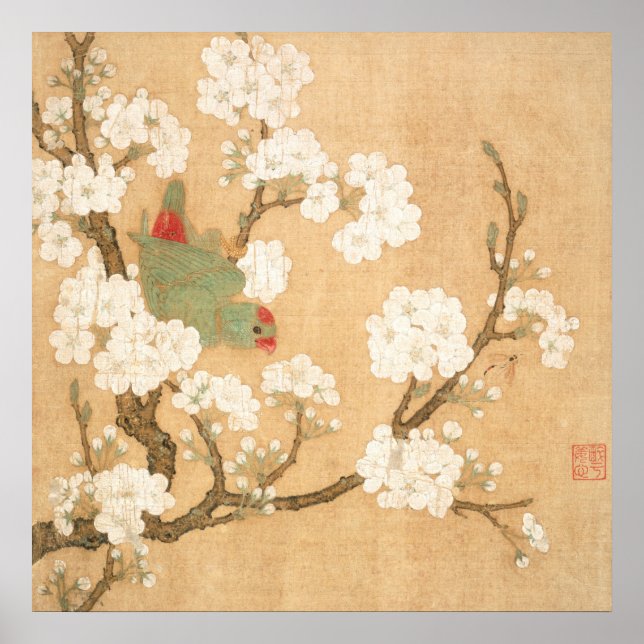 Póster Loro Chino Oriental y Flores de Peral (Frente)