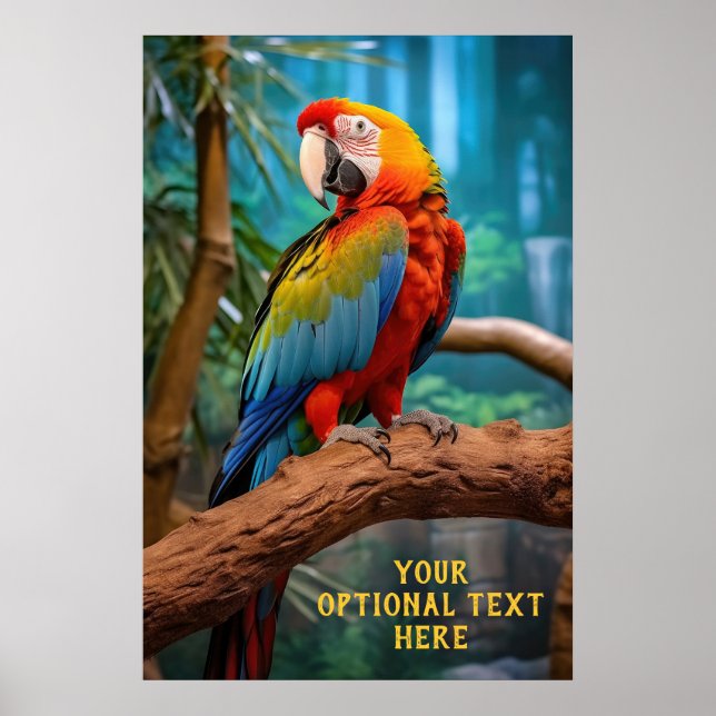 Póster Loro colorido de texto opcional (Frente)