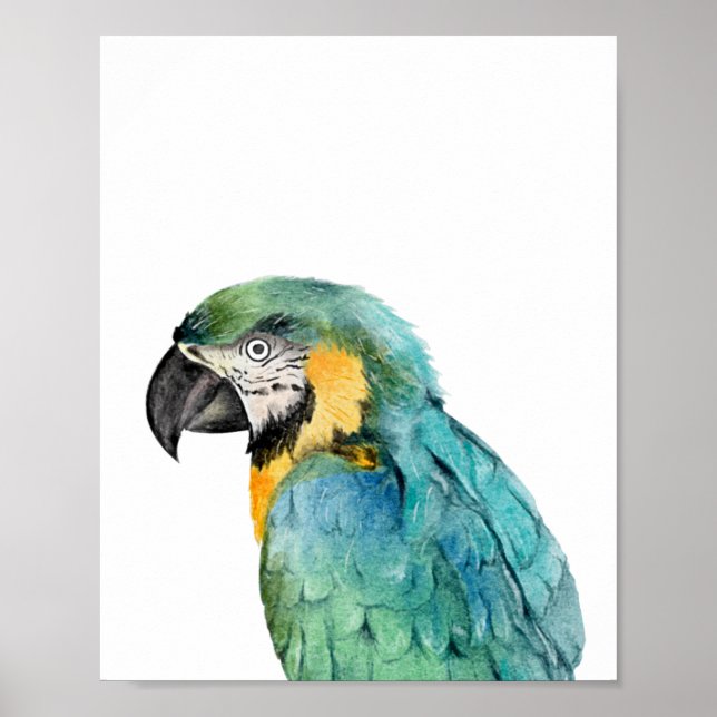 Póster Loro de acuarela azul y dorado Macaw (Frente)