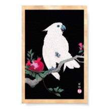 Loro de gallo blanco japonés de Guay
