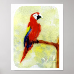 Póster Loro de Macaw pintado de colores