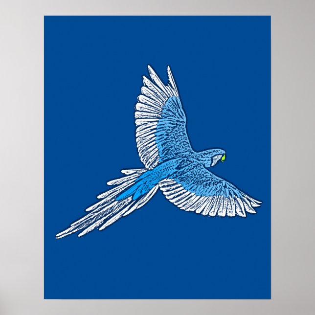 Póster Loro en vuelo, azul cobalto y blanco (Frente)