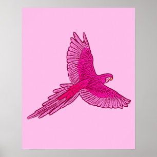 Póster Loro en vuelo, Fuchsia y rosa hielo
