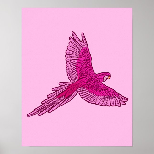 Póster Loro en vuelo, Fuchsia y rosa hielo (Frente)