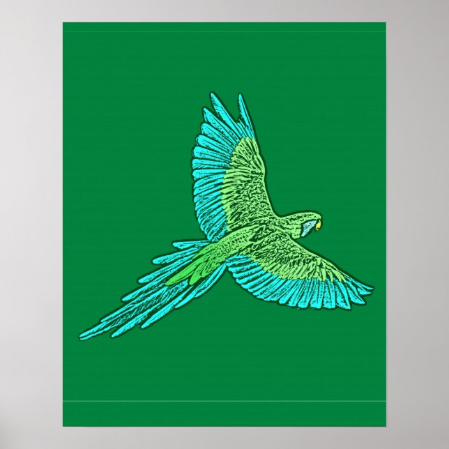 Póster Loro en vuelo, Jade Green y Turquesa (Frente)