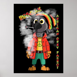 Póster Loro gris de reggae