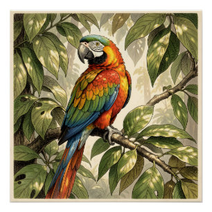 Póster Loro pájaro en dibujo de árbol