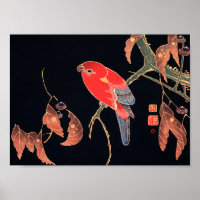 Loro Rojo en la rama de un árbol por Ito Jakuchu