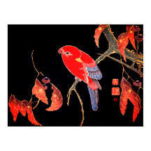 Loro Rojo Japonés en una rama de árbol por Ito Jak