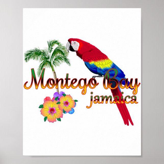 Póster Loro tropical de Montego Bay Jamaica (Frente)