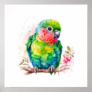 Póster Loro verde - Ave bebé