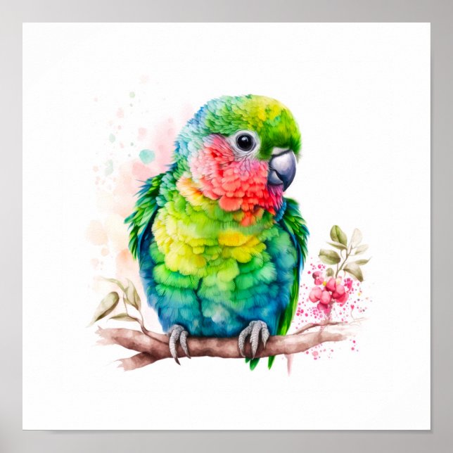 Póster Loro verde - Ave bebé (Frente)