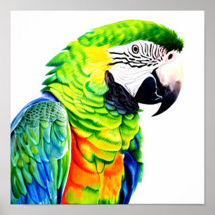 Póster Loro verde generado por la inteligencia artificial