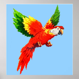 Póster loro volador