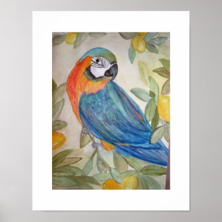 Póster Loro y lemas