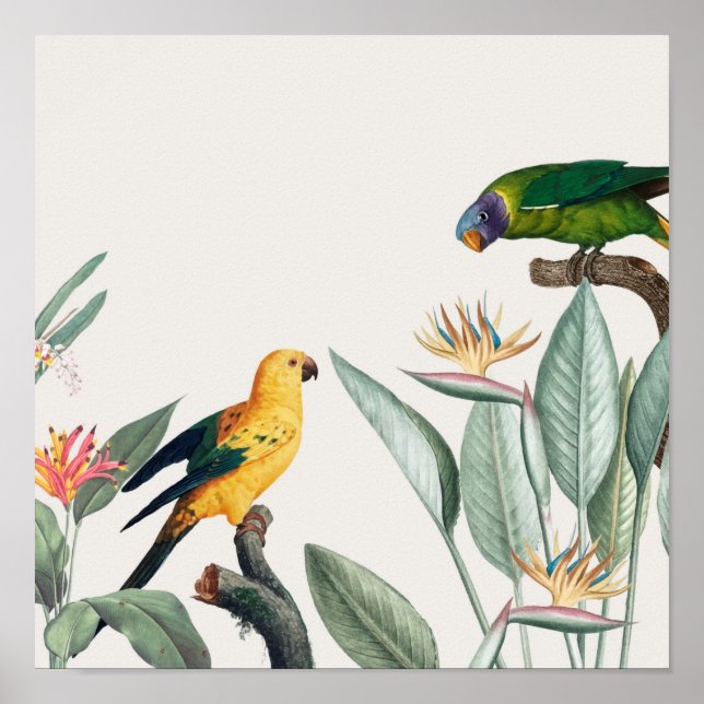 Póster loros (Frente)