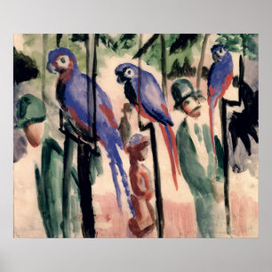 Póster Loros azules