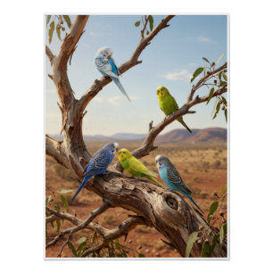 Póster Loros Coloridos En Rama De Árbol Aves Tropicales F
