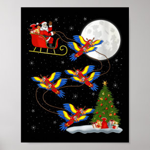 Póster Loros Guacamayos de Mujeres Santa Trineo Volador F