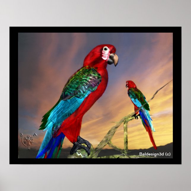 PÓSTER LOROS HIPER / ARA ROJA (Frente)