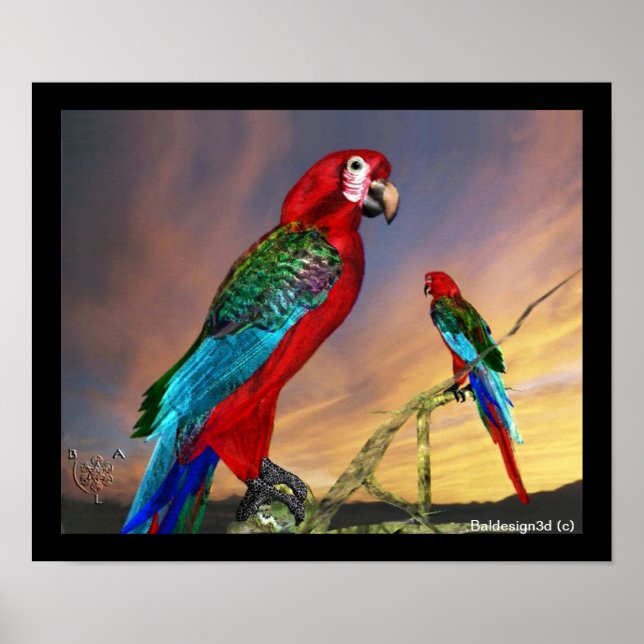 PÓSTER LOROS HIPER / ARA ROJA (Frente)