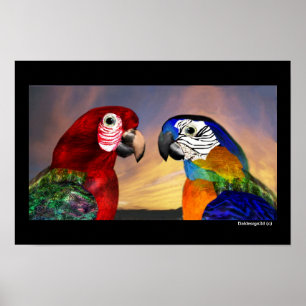 PÓSTER LOROS HIPER / ARA ROJA Y AZUL