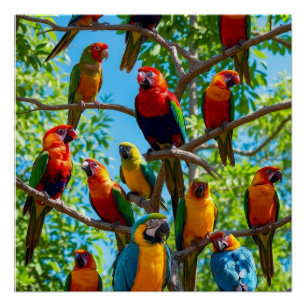 Póster Loros y cacatúas coloridos bosque tropical lluvios