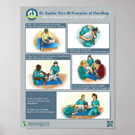 Póster Los 10 principios del Dr. Yin sobre el manejo de p