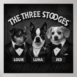 Póster "Los 2 Dooges"
