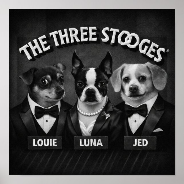 Póster "Los 2 Dooges" (Frente)